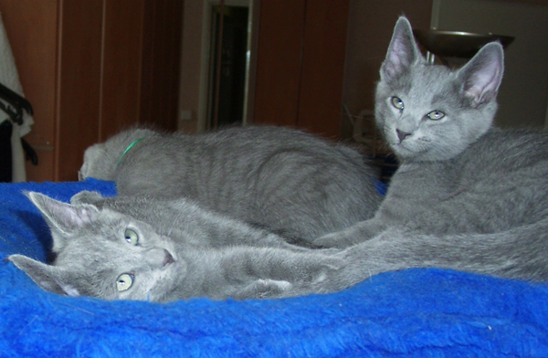 Baikal + Bahtiar + Barin1