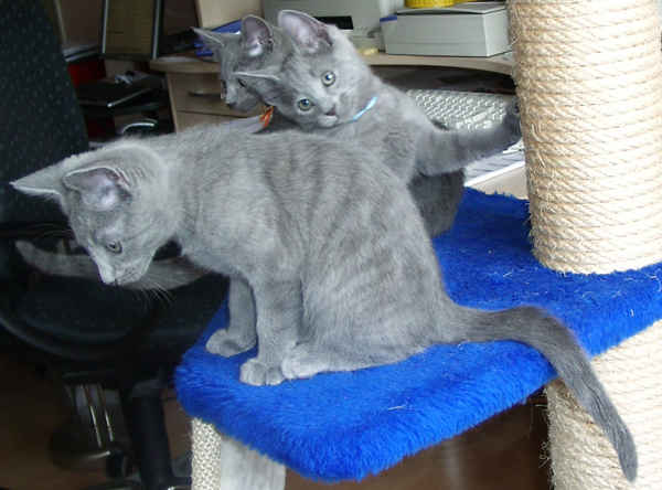 Borya + Barin + Buran201